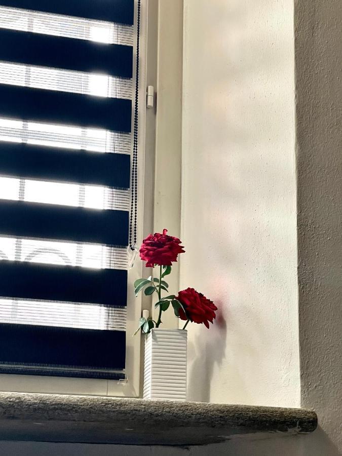 Apartmán Ca D La Trifola Free Parking Alba  Exteriér fotografie